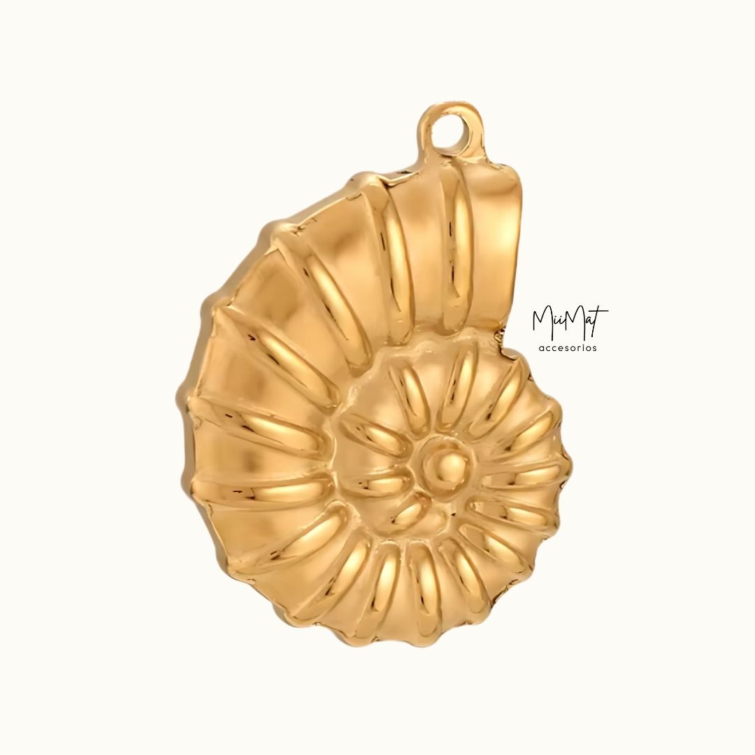 Charms Caribe