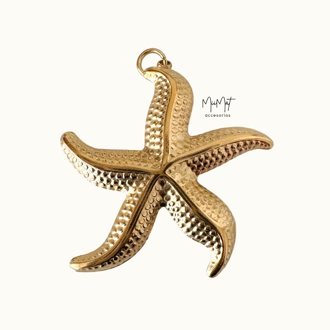 Charms Caribe