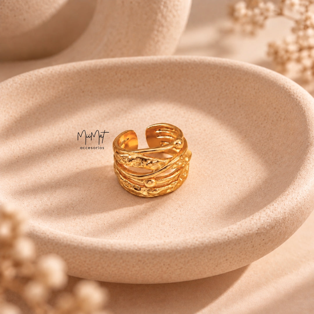 Anillo Fronteras